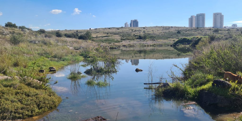 vanishing lake